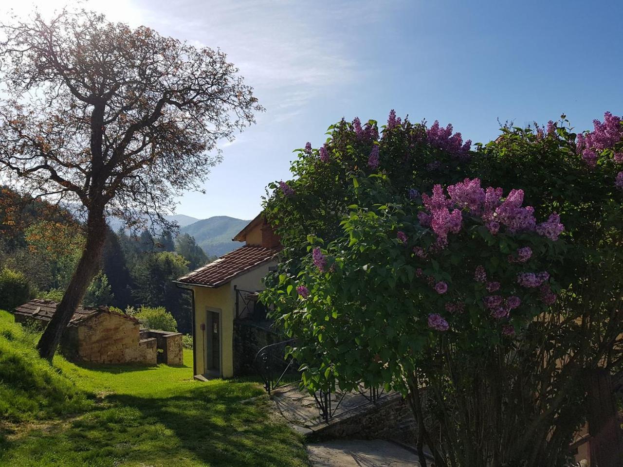Borgo Tramonte Hotel Pratovecchio Luaran gambar